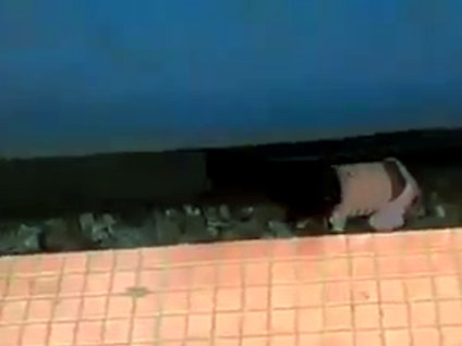 Bebeğin üzerinden tren geçti! (18+)